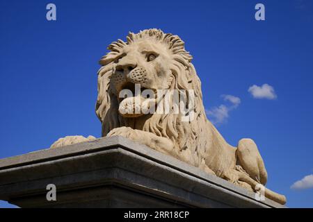 Statua di un leone sul lato di Buda del Ponte delle catene, che attraversa il Danubio, Budapest, Ungheria Foto Stock