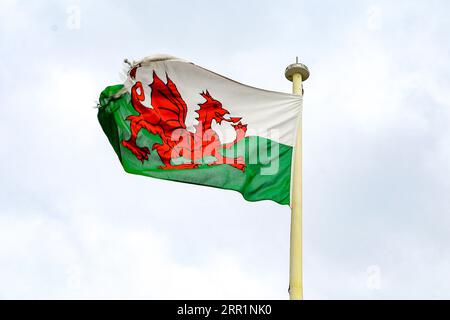 CAERNARFON, GRAN BRETAGNA - 14 SETTEMBRE 2014: Questa è la bandiera del Galles che fluttua nel vento. Foto Stock