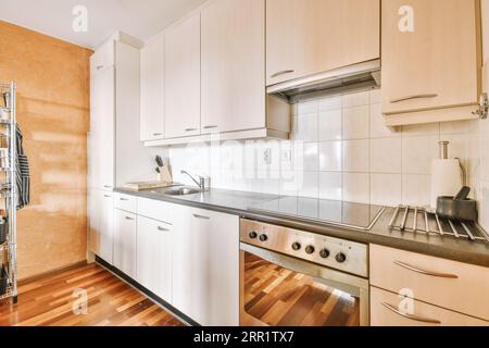Frammento di interno di piccola cucina domestica con stile minimalista mobili bianchi con lavandino e stufa Foto Stock
