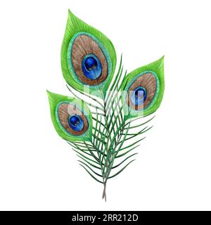 Bouquet di piume di pavone blu verde illustrazione ad acquerello disegnata a mano isolata su uno sfondo bianco Foto Stock