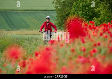 Bella cittadina anziana attiva, in sella alla sua bici elettrica in un enorme campo di papaveri rossi in fiore Foto Stock