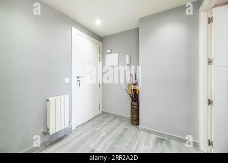 Corridoio di una casa moderna con pavimenti in legno grigio che si abbinano alle pareti dipinte in liscia falegnameria grigia e bianca Foto Stock