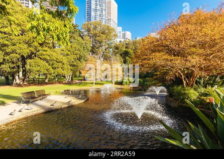 Gli iconici Treasury Gardens di East Melbourne vicino al CBD di Melbourne in una fresca mattinata autunnale a Victoria, Australia Foto Stock