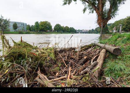 Alluvione, Danubio, Ulma, Baden-Wuerttemberg, Germania Foto Stock