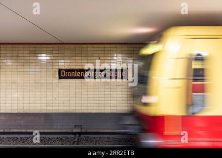 OePNV, mezzi pubblici a Berlino, stazione S-Bahn Oranienburger Strasse con arrivo S-Bahn, indicazione stazione, Berlino, Germania Foto Stock