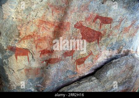 Dipinti rupestri, Tsodilo Hill, Botswana Foto Stock