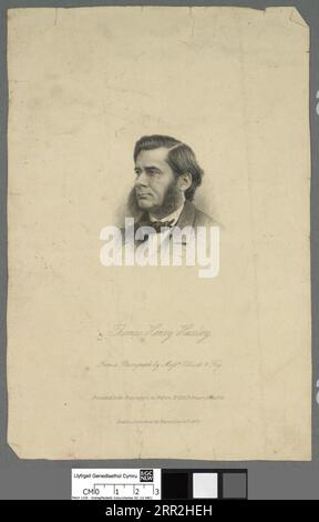 Thomas Henry Huxley 1874 di Charles Henry Jeens Foto Stock