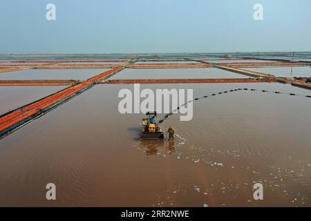 201015 -- TANGSHAN, 15 ottobre 2020 -- foto aerea scattata il 15 ottobre 2020 mostra i lavoratori che producono sale tra stagni di sale nella contea di Luannan, nella provincia di Hebei nella Cina settentrionale. CHINA-HEBEI-TANGSHAN-SALT PRODUCTION CN MUXYU PUBLICATIONXNOTXINXCHN Foto Stock