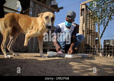 201016 -- GAZA, 16 ottobre 2020 -- Un palestinese si prende cura di un cane randagio disabile alla Sulala Society for Training and Caring for Animals nel quartiere di al-Zahra, a sud di Gaza, 15 ottobre 2020. Foto di /Xinhua MIDEAST-GAZA-DOGS RizekxAbdeljawad PUBLICATIONxNOTxINxCHN Foto Stock