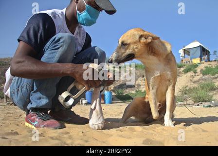 201016 -- GAZA, 16 ottobre 2020 -- Un palestinese si prende cura di un cane randagio disabile alla Sulala Society for Training and Caring for Animals nel quartiere di al-Zahra, a sud di Gaza, 15 ottobre 2020. Foto di /Xinhua MIDEAST-GAZA-DOGS RizekxAbdeljawad PUBLICATIONxNOTxINxCHN Foto Stock