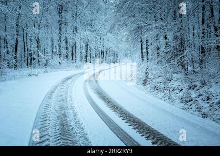 Piste su una strada innevata nella foresta invernale Foto Stock