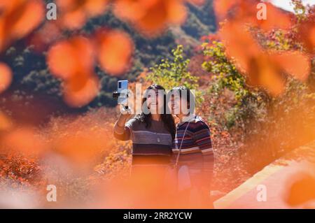 201018 -- PECHINO, 18 ottobre 2020 -- i turisti fanno selfie in un canyon nei monti Taihang nella contea di Shexian, nella provincia di Hebei nella Cina settentrionale, 17 ottobre 2020. XINHUA FOTO DEL GIORNO WangxXiao PUBLICATIONxNOTxINxCHN Foto Stock