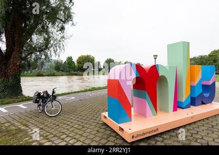 Alluvione, Danubio, Ulma, Baden-Wuerttemberg, Germania Foto Stock