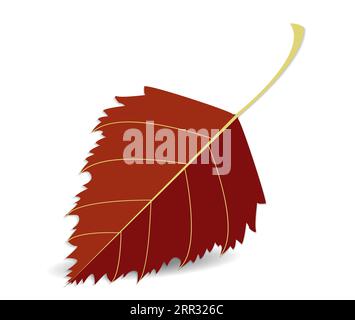 Foglia rossa autunnale, dettagliata, primo piano, foglia di betulla isolata su sfondo bianco o trasparente con ombra Illustrazione Vettoriale