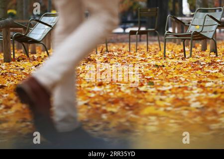 201024 -- PECHINO, 24 ottobre 2020 -- foglie cadute sono viste al parco del Lussemburgo a Parigi, in Francia, 23 ottobre 2020. XINHUA FOTO DEL GIORNO GaoxJing PUBLICATIONxNOTxINxCHN Foto Stock