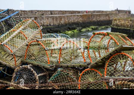 Vasi di aragosta, crelli o gabbie sul porto, St Andrews, Fife, Scozia, Regno Unito Foto Stock