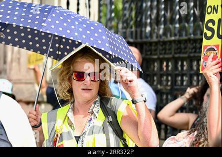 Londra, Regno Unito. I manifestanti si sono riuniti al di fuori delle camere del Parlamento per manifestare contro l'estensione della zona a bassissima emissione (ULEZ) ai quartieri esterni di Londra il 29 agosto 2023. Crediti: michael melia/Alamy Live News Foto Stock