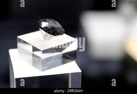 201026 -- SHANGHAI, 26 ottobre 2020 -- Un diamante nero del peso di 88 carati è raffigurato a Shanghai, Cina orientale, 26 ottobre 2020. Con un valore stimato di 37 milioni di dollari, il diamante di Parigi sarà esposto durante il prossimo terzo China International Import Expo CIIE di Shanghai. CHINA-SHANGHAI-CIIE-BLACK DIAMOND CN FANGXZHE PUBLICATIONXNOTXINXCHN Foto Stock