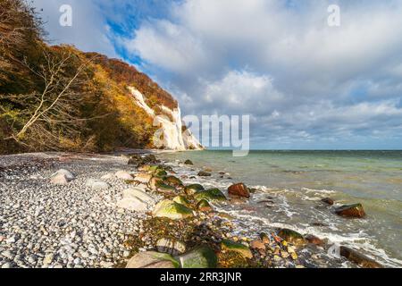 Costa del Mar Baltico con scogliere bianche sull'isola di Moen in Danimarca. Foto Stock