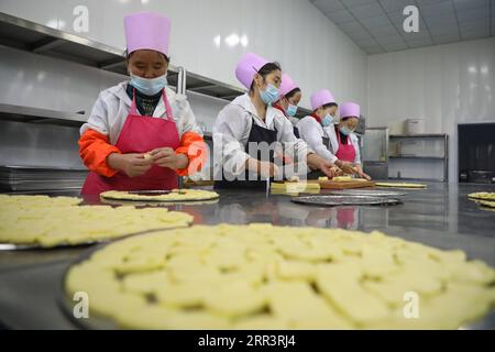 201110 -- DONGXIANG, 10 novembre 2020 -- gli abitanti del villaggio preparano cibo in un laboratorio di soccorso alla povertà del villaggio di Bulenggou nella contea autonoma di Dongxiang di Linxia nella prefettura autonoma di Hui, provincia del Gansu della Cina nord-occidentale, il 9 novembre 2020. Il villaggio di Bulenggou era un'area gravemente impoverita. Dall'inizio del lavoro di riduzione della povertà, il villaggio è cambiato insieme a migliori infrastrutture, che consentono agli abitanti del villaggio di accedere all'acqua potabile, alle strade, al centro sanitario e alla scuola elementare ben attrezzata. L'allevamento di bestiame è diventato l'industria leader del Villaggio di Bulenggou, dove gli abitanti del villaggio vi hanno assistito Foto Stock