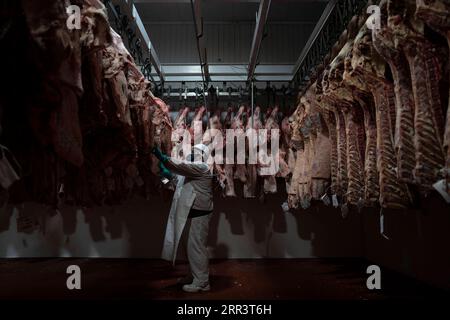 201111 -- BUENOS AIRES, 11 novembre 2020 -- Un membro del personale lavora in una fabbrica di lavorazione della carne di manzo nella città di Escobar, 50 km a nord della capitale Buenos Aires, Argentina, 9 novembre 2020. Con la China Singles Day , che cade l'11 novembre di ogni anno, diventando il più grande festival di shopping online 24 ore su 24 del mondo, il Pampa-Market.com si prepara a prendere parte all'evento, soddisfacendo la domanda dei consumatori cinesi di prodotti alimentari argentini di alta qualità. Progettato per la prima volta dalla piattaforma di e-commerce di Alibaba TMall l'11 novembre 2009, l'evento di shopping online si è sviluppato da una promozione di vendita online nazionale a un Foto Stock