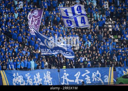 201113 -- PECHINO, 13 novembre 2020 -- sostenitori di Jiangsu Suning tifo per la squadra durante la partita del ventesimo round tra Guangzhou Evergrande Taobao e Jiangsu Suning alla stagione 2020 della Chinese Football Association Super League CSL Suzhou Division a Suzhou, nella provincia di Jiangsu, 12 novembre 2020. XINHUA FOTO DEL GIORNO XuxChang PUBLICATIONxNOTxINxCHN Foto Stock