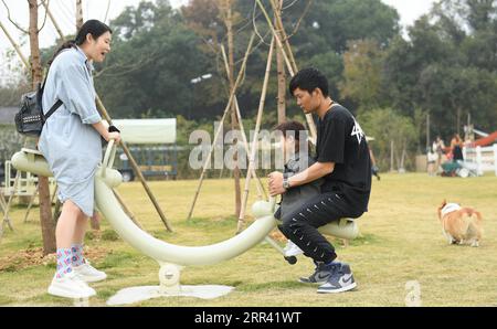 201117 -- HUZHOU, 17 novembre 2020 -- le persone godono di tempo libero presso Go Farm nel villaggio di Gucheng nel distretto di Wuxing della città di Huzhou, provincia dello Zhejiang della Cina orientale, 17 novembre 2020. Go Farm , una destinazione di vacanza che integra campeggio e tour a tema animali nell'antico villaggio di Gucheng, ha attirato molti turisti sin dalla sua attività di prova nel maggio di quest'anno. CHINA-ZHEJIANG-ANCIENT VILLAGE-TOURISMCN WengxXinyang PUBLICATIONxNOTxINxCHN Foto Stock