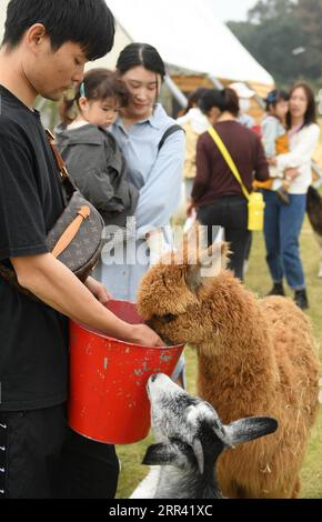 201117 -- HUZHOU, 17 novembre 2020 -- le persone godono di tempo libero presso Go Farm nel villaggio di Gucheng nel distretto di Wuxing della città di Huzhou, provincia dello Zhejiang della Cina orientale, 17 novembre 2020. Go Farm , una destinazione di vacanza che integra campeggio e tour a tema animali nell'antico villaggio di Gucheng, ha attirato molti turisti sin dalla sua attività di prova nel maggio di quest'anno. CHINA-ZHEJIANG-ANCIENT VILLAGE-TOURISMCN WengxXinyang PUBLICATIONxNOTxINxCHN Foto Stock