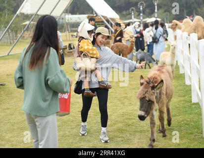 201117 -- HUZHOU, 17 novembre 2020 -- le persone godono di tempo libero presso Go Farm nel villaggio di Gucheng nel distretto di Wuxing della città di Huzhou, provincia dello Zhejiang della Cina orientale, 17 novembre 2020. Go Farm , una destinazione di vacanza che integra campeggio e tour a tema animali nell'antico villaggio di Gucheng, ha attirato molti turisti sin dalla sua attività di prova nel maggio di quest'anno. CHINA-ZHEJIANG-ANCIENT VILLAGE-TOURISMCN WengxXinyang PUBLICATIONxNOTxINxCHN Foto Stock