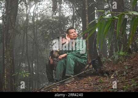 201117 -- HAIKOU, 17 novembre 2020 -- i geometri ascoltano il possibile movimento dei gibboni nelle foreste pluviali tropicali sulla montagna Bawangling nella provincia di Hainan della Cina meridionale, 16 novembre 2020. Conosciuti come i primati più rari del mondo, Hainan gibbons sta aumentando di numero grazie a un ambiente migliorato. Gli ultimi dati del dipartimento forestale della provincia indicano che ci sono 33 gibbon che vivono in cinque famiglie, un triplice aumento della popolazione dagli anni '1970 Le scimmie a cresta nera possono essere trovate solo nella riserva naturale nazionale di Bawangling sull'isola di Hainan. Vivono in alberi della foresta pluviale di oltre 10 metri ta Foto Stock