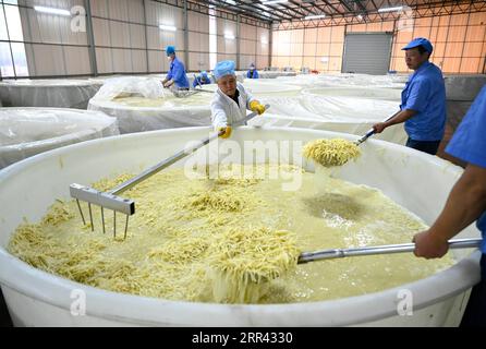 201118 -- LIUZHOU, 18 novembre 2020 -- li Yongguo controlla la fermentazione dei germogli di bambù in salamoia in un laboratorio di una società Luosifen a Liuzhou, nella regione autonoma del Guangxi Zhuang, nella Cina meridionale, 18 novembre 2020. Li Yongguo, 41 anni, era un coltivatore di bambù a Baise del Guangxi. Arrivò a Liuzhou nel 2008 e iniziò a fare riprese di bambù sottaceto come attività commerciale. Oltre dieci anni di esperienza nella produzione di germogli di bambù sottaceto lo rendono particolarmente sensibile all'odore dei germogli di bambù sottaceto. Può anche distinguere la qualità dei germogli di bambù semplicemente odorandoli. I germogli di bambù sottaceto sono un io Foto Stock