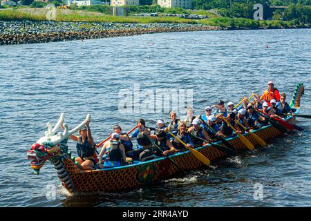 Corse di draghi cinesi del Rhode Island e Festival di Taiwan Day Foto Stock