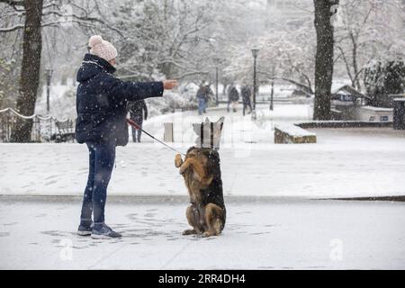 201130 -- RIGA, 30 novembre 2020 -- Una donna gioca con un cane sulla neve a riga, Lettonia, il 30 novembre 2020. Foto di /Xinhua LETTONIA-RIGA-SNOW EdijsxPalens PUBLICATIONxNOTxINxCHN Foto Stock