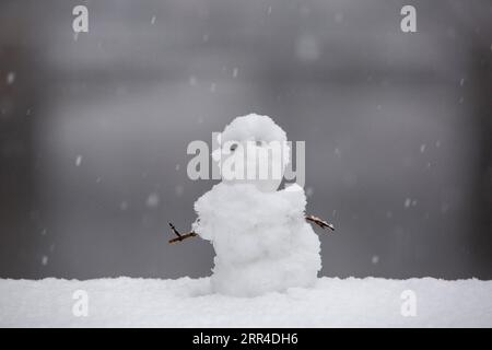 News Bilder des Tages News Bilder des Tages 201130 -- RIGA, 30 novembre 2020 -- Un pupazzo di neve si vede a riga, Lettonia, il 30 novembre 2020. Foto di /Xinhua LETTONIA-RIGA-SNOW EdijsxPalens PUBLICATIONxNOTxINxCHN Foto Stock