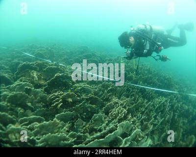 201205 -- HONG KONG, 5 dicembre 2020 -- Un subacqueo Reef Check conduce il sondaggio dei coralli sott'acqua a Hong Kong, Cina meridionale, 5 dicembre 2020. Il Dipartimento Agricoltura, pesca e conservazione del governo HKSAR di Hong Kong ha annunciato sabato che il Reef Check di quest'anno ha dimostrato che i coralli locali sono generalmente in condizioni sane e stabili e che la diversità delle specie rimane sul lato alto. CHINA-HONG KONG-CORAL REEF CHECK CN XINHUA PUBLICATIONXNOTXINXCHN Foto Stock