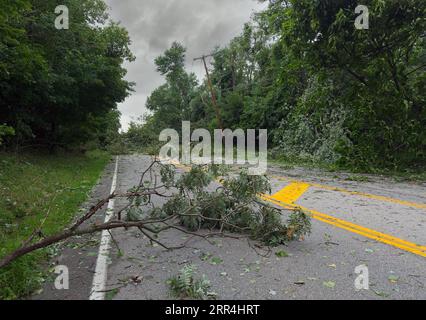 Un albero abbattuto e rami bloccano una strada in una città dell'Ohio dopo una forte tempesta durante la notte. Foto Stock