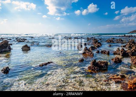 Shuwaymiyah Beach, Dhofar, Oman, un paradiso sia per gli amanti della natura che per gli amanti della spiaggia, che offre una tranquilla fuga dal trambusto della vita cittadina. Foto Stock