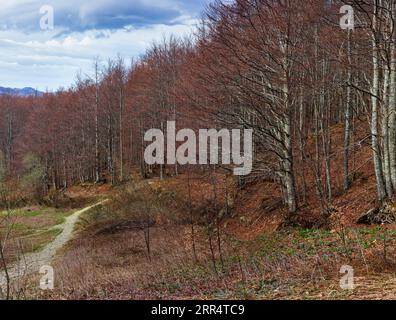 Vista panoramica del paesaggio dell'Appennino Toscano Emiliano a Ventasso, Italia Foto Stock