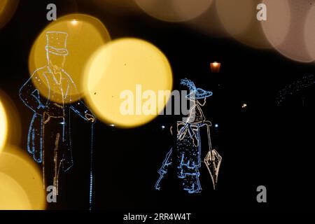 201214 -- PECHINO, 14 dicembre 2020 -- decorazioni luminose sono viste lungo un viale nel parco delle Terme reali di Varsavia, Polonia, 11 dicembre 2020. Foto di /Xinhua XINHUA FOTO DEL GIORNO JaapxArriens PUBLICATIONxNOTxINxCHN Foto Stock