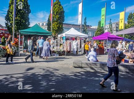 Il mercato dei piccoli commercianti di Eyre Square a Galway, Irlanda. Si tiene ogni sabato e vende un'ampia varietà di prodotti artigianali e alimentari. Foto Stock