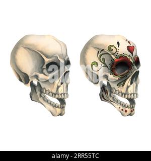 Il profilo dei teschi umani con un ornamento dipinto è malvagio, terribile. Illustrazione ad acquerello disegnata a mano per il giorno dei morti, halloween, dia de los muertos Foto Stock