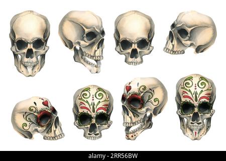 Vista laterale frontale dei teschi umani con ornamenti colorati e senza. Illustrazione ad acquerello disegnata a mano per Halloween, il giorno dei morti, dia de los muertos Foto Stock