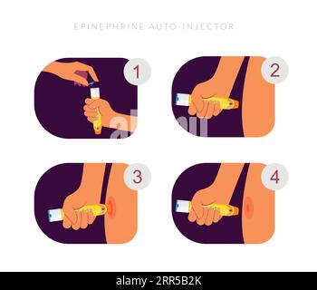 Adrenalina - iniezione ormonale per allergia alimentare grave - illustrazione stock come file EPS 10 Illustrazione Vettoriale