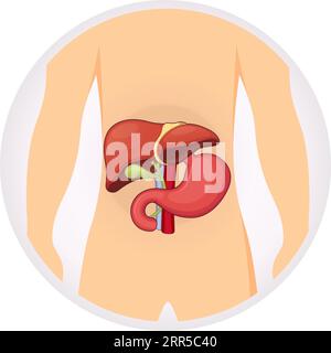 Immagine stock dell'icona della vescica biliare - fegato - stomaco come file EPS 10 Illustrazione Vettoriale