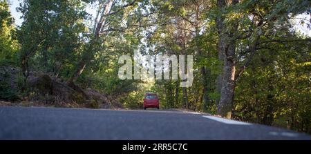 Guida attraverso una splendida foresta della Sierra de Gata. Strada locale CC-6,2 a Gata, Spagna Foto Stock