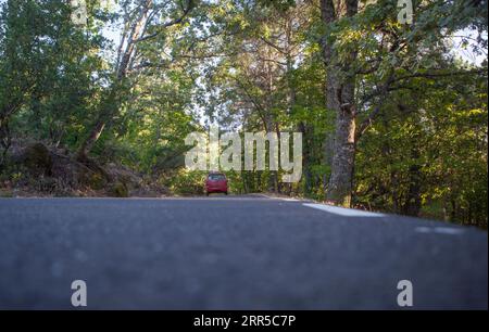 Guida attraverso una splendida foresta della Sierra de Gata. Strada locale CC-6,2 a Gata, Spagna Foto Stock