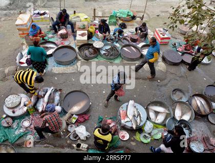 210112 -- GUWAHATI, 12 gennaio 2021 -- la gente compra il pesce in un mercato del pesce vicino alle rive del fiume Brahmaputra alla vigilia di Bhogali Bihu , un festival che segna la fine della stagione invernale del raccolto a Guwahati, nello stato dell'Assam, nell'India nord-orientale, 12 gennaio 2021. Str/ INDIA-GUWAHATI-BHOGALI BIHU FESTIVAL-MERCATO DEL PESCE Xinhua PUBLICATIONxNOTxINxCHN Foto Stock