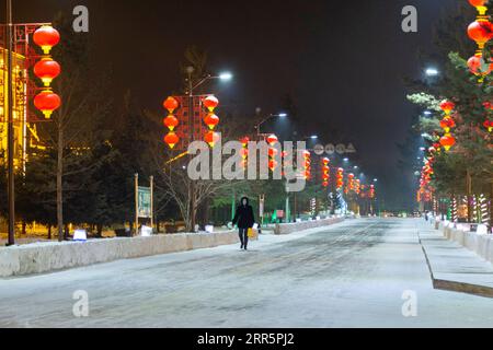 210113 -- MOHE, 13 gennaio 2021 -- foto scattata il 12 gennaio 2021 mostra i lampioni nel villaggio Beiji della città di Mohe, provincia di Heilongjiang nella Cina nordorientale. Il villaggio Beiji, situato nella città di Mohe, la città più settentrionale della Cina, poteva fare affidamento solo su piccoli generatori diesel per l'alimentazione elettrica prima del 2007. Dopo il collegamento alla rete di stato, il villaggio Beiji ha istituito la centrale elettrica più settentrionale della Cina, la stazione di alimentazione Beiji. Il direttore LYU Jiansheng e il lettore di contatori Wang Shaoting sono gli unici due membri dello staff della stazione che gestisce più di 20 chilometri di linee aeree Foto Stock