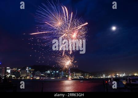 210124 -- WELLINGTON, 24 gennaio 2021 -- i fuochi d'artificio illuminano il cielo notturno di Wellington, capitale della nuova Zelanda il 24 gennaio 2021 in commemorazione del prossimo Wellington Anniversary Day il 25 gennaio. Il Wellington Anniversary Day, un giorno festivo per le persone che vivono nell'area della capitale, viene celebrato il lunedì più vicino al 22 gennaio di ogni anno. La festa commemora l'arrivo della prima nave colono in nuova Zelanda il 22 gennaio 1840. NEW ZEALAND-WELLINGTON ANNIVERSARY DAY - FUOCHI D'ARTIFICIO GUOXLEI PUBLICATIONXNOTXINXCHN Foto Stock