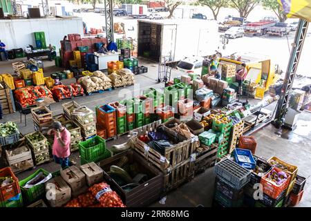 Marilia, San Paolo, Brasile. 4 settembre 2023. Vista dall'alto del mercato presso il capannone CEAGESP dove si vendono prodotti come frutta, foglie e verdura, i Foto Stock